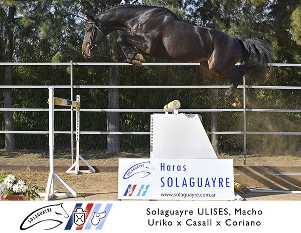 SOLAGUAYRE ULISES